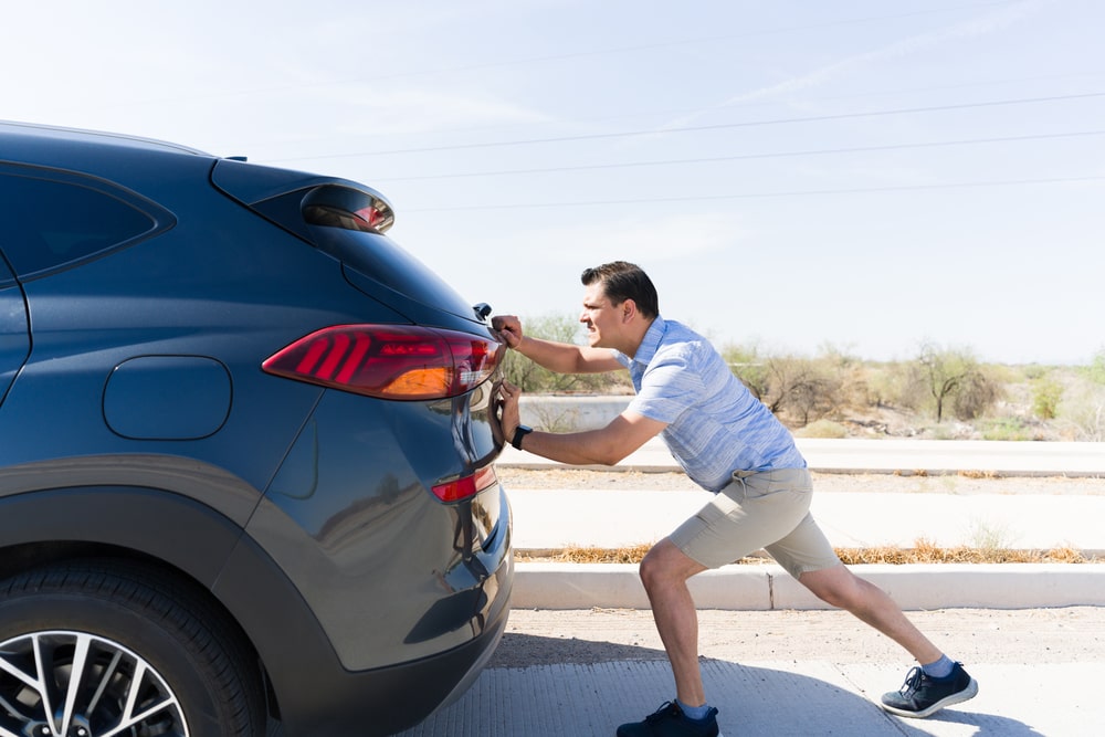 Image Description - vincheckup.com Image Description